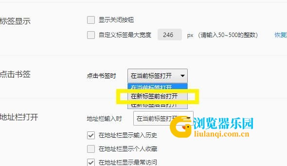 浏览器如何设置在新的页面加载书签？设置在新的页面加载书签的方法[多图]图片5